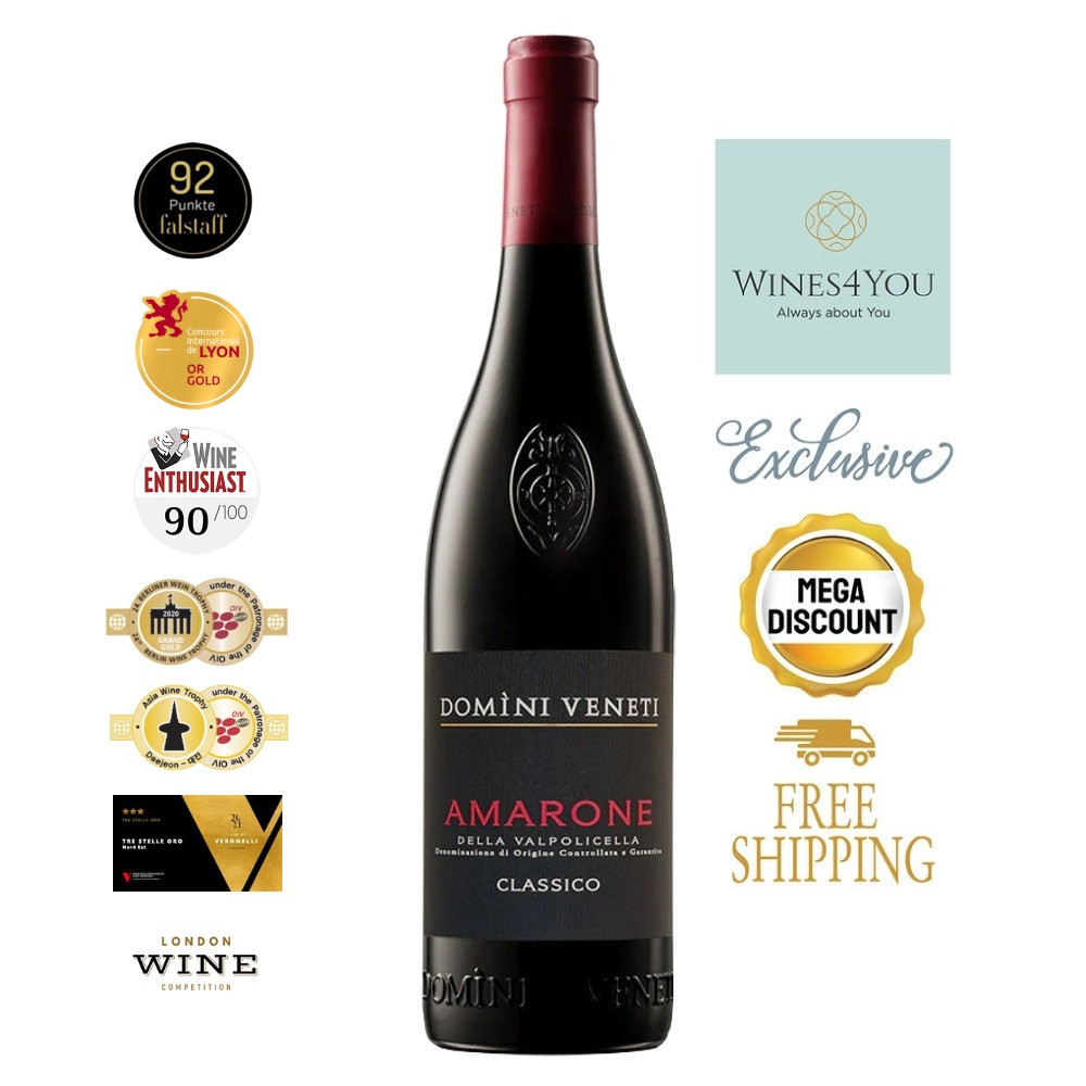 Domini Veneti Amarone della Valpolicella DOCG Classico Italy Red Wine